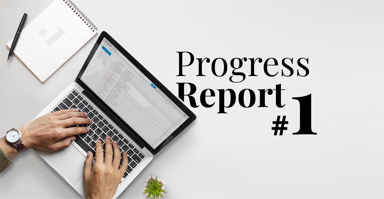 Progress Report #1: First Feedback from Regulators